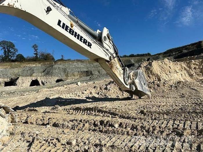 Liebherr R9100 Özel ekskavatörler