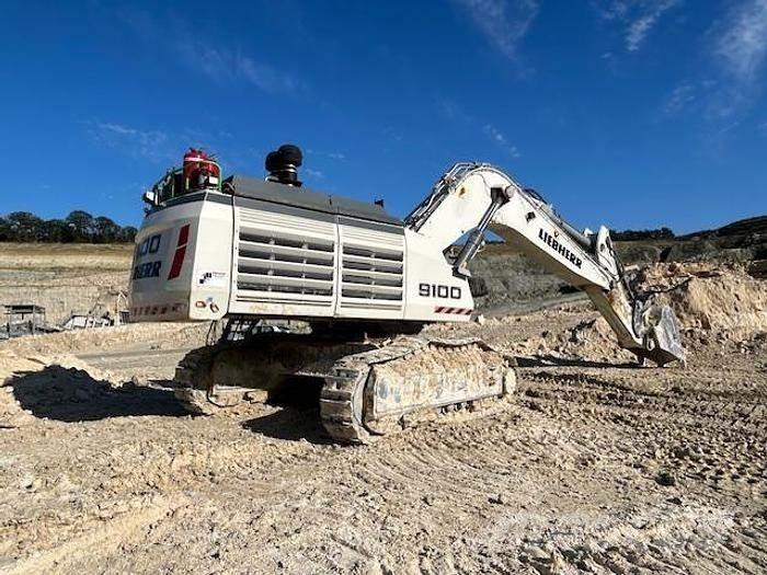 Liebherr R9100 Özel ekskavatörler