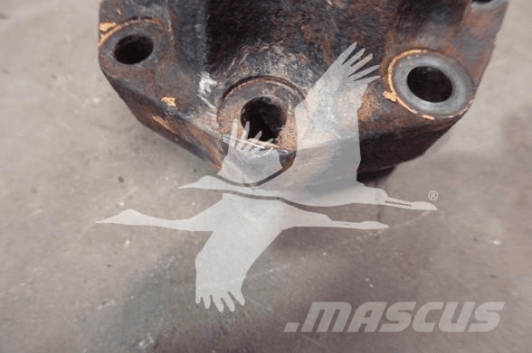 CAT  Diger