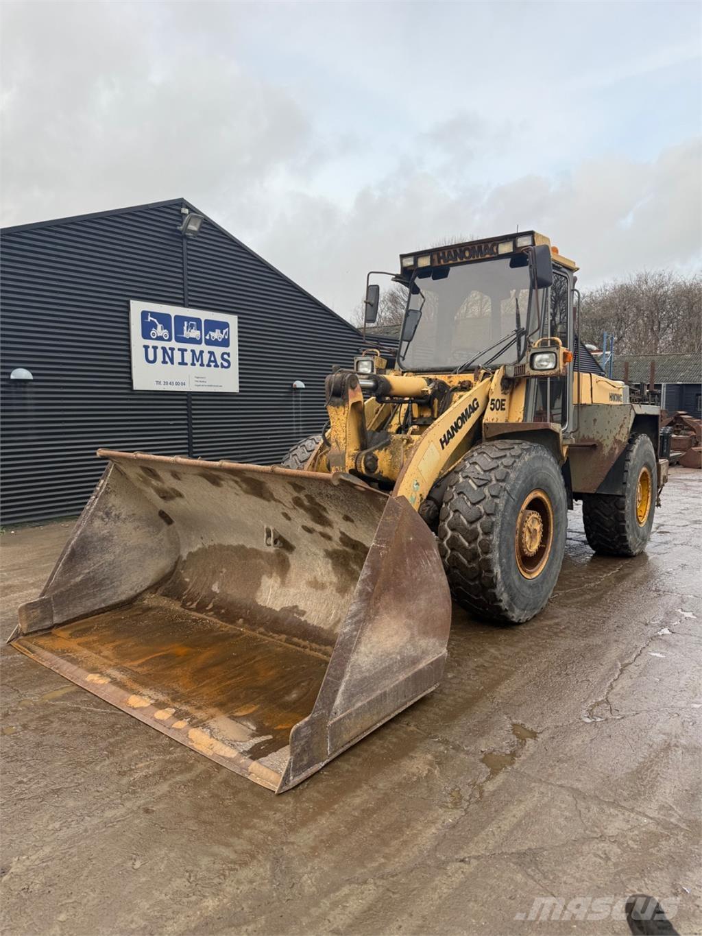 Hanomag 50E Tekerlekli yükleyiciler