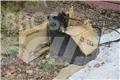 Simex S40 Diger