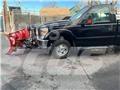Ford F 350 Flatbed kamyonlar