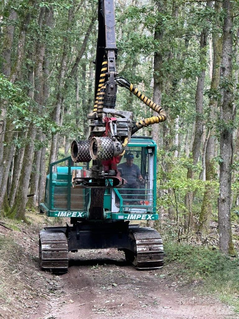 Impex Königstiger Biçerdöverler
