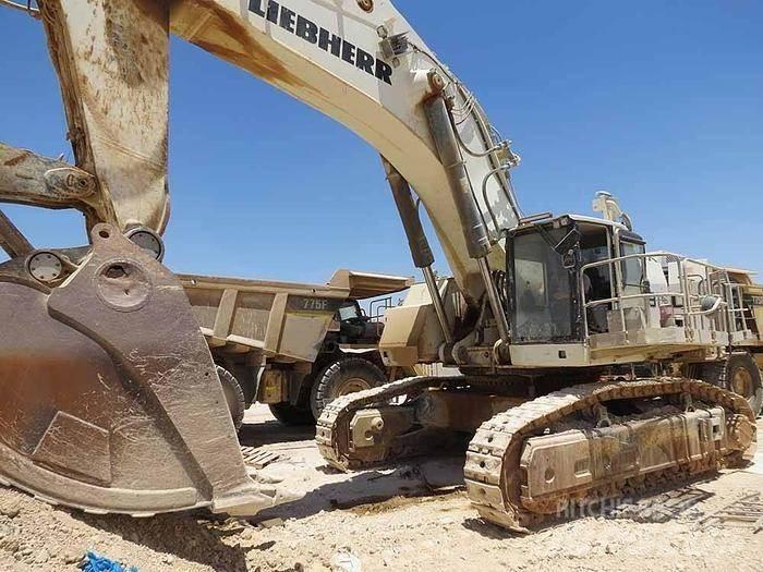 Liebherr R9150 Özel ekskavatörler