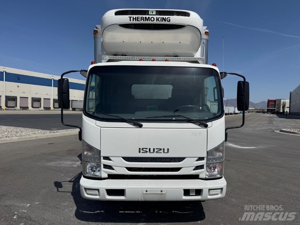 Isuzu NQR Frigofrik kamyonlar