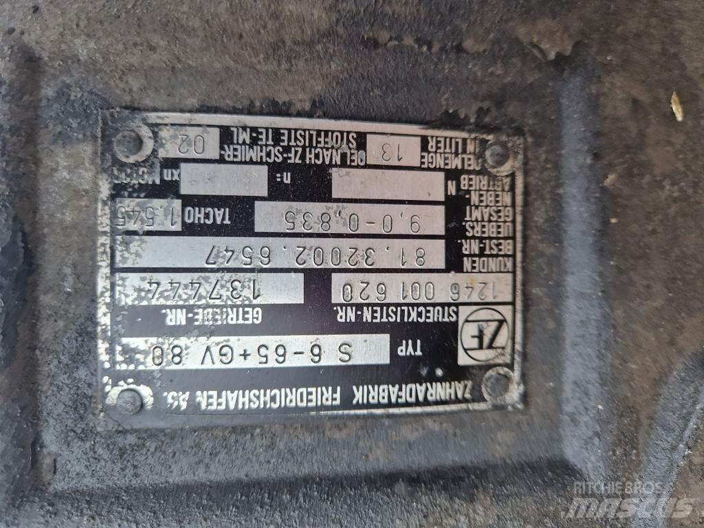 ZF S6-65+GV-80 Sanzumanlar