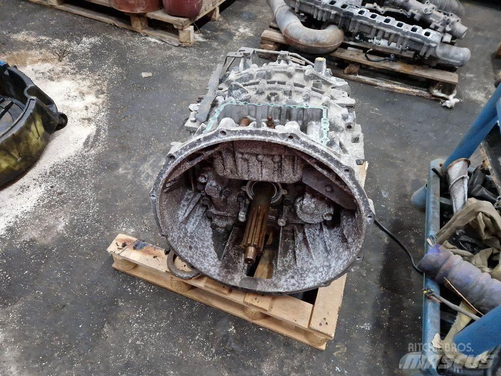 ZF - Sanzumanlar
