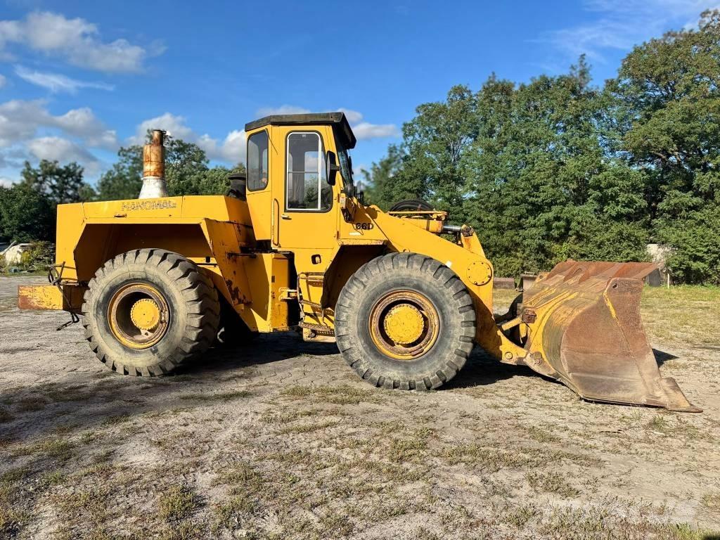 Hanomag 66d Tekerlekli yükleyiciler