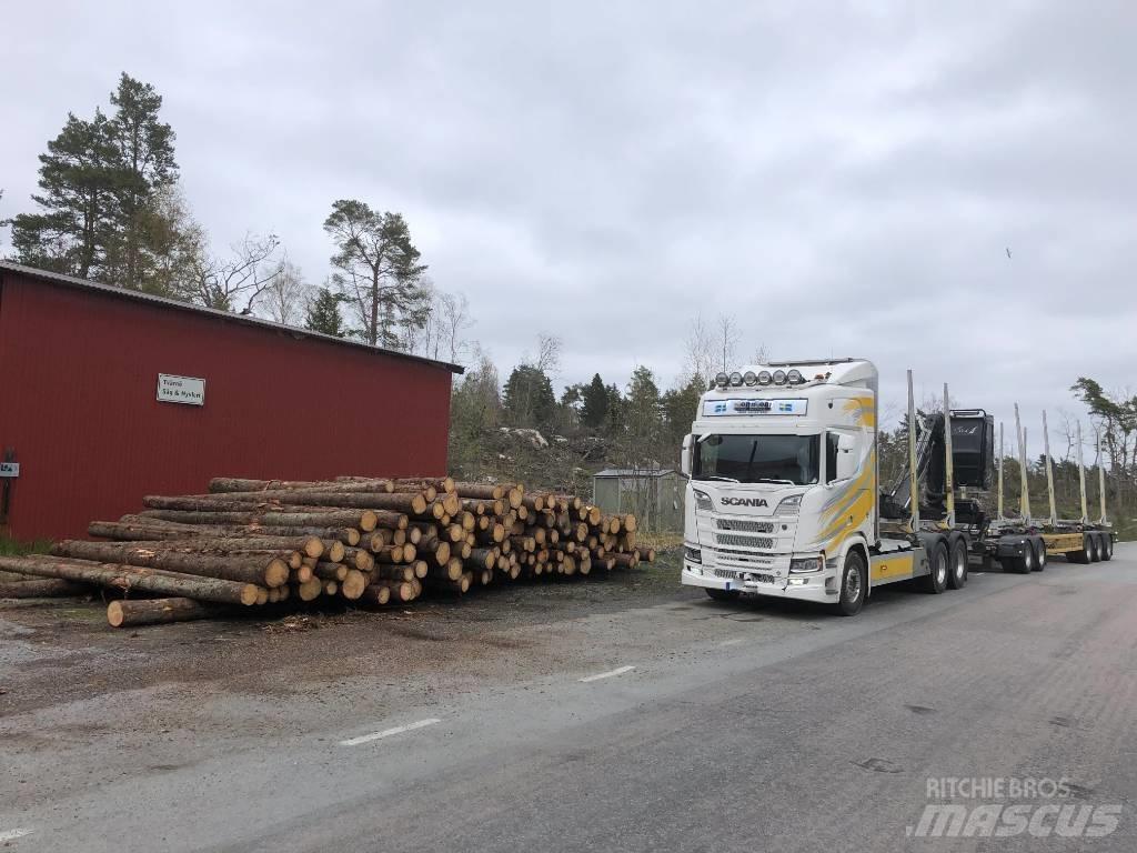 Scania R 650 Tomruk kamyonlari