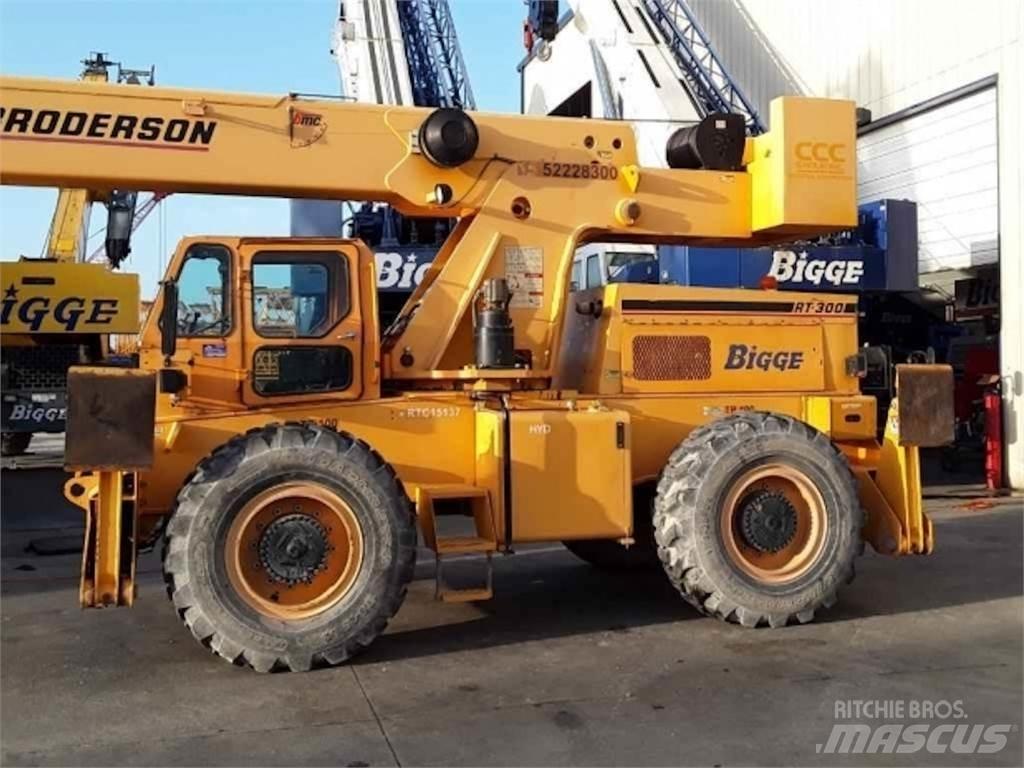 Broderson RT-300 Arazi Tipi Vinçler (RT)