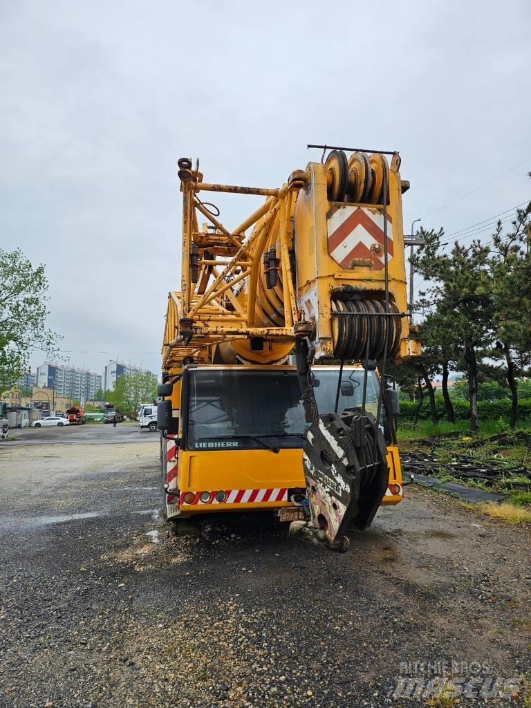 Liebherr 1250-6.1 Yol-Arazi Tipi Vinçler (AT)