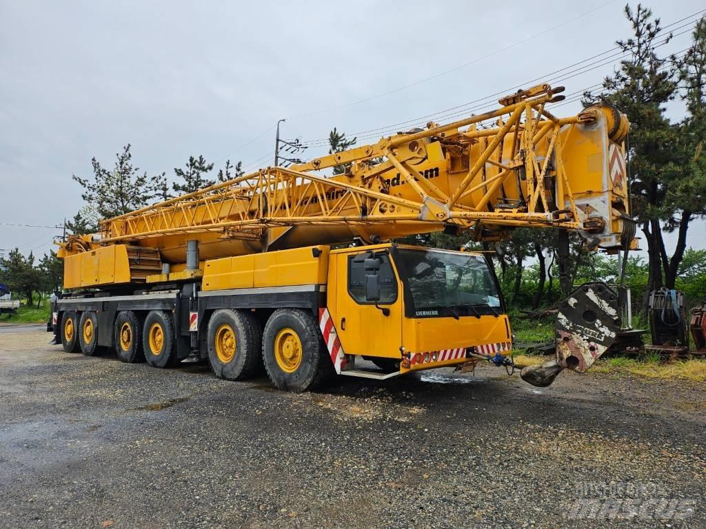 Liebherr 1250-6.1 Yol-Arazi Tipi Vinçler (AT)