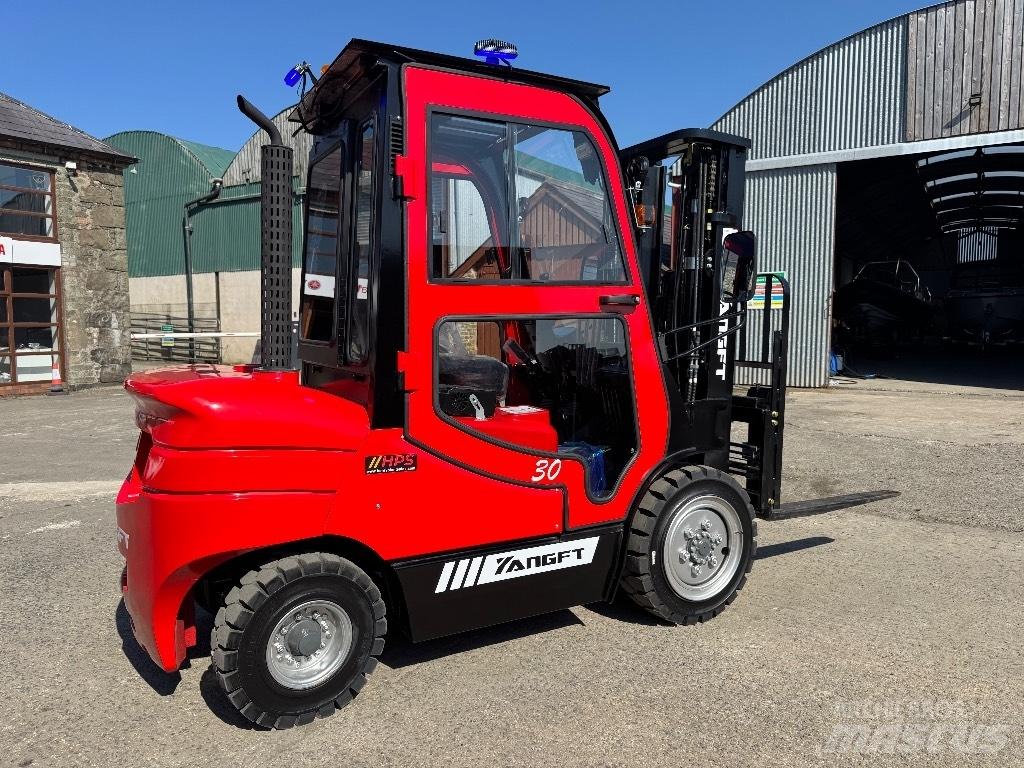 YangFT CPCD30 Dizel forkliftler