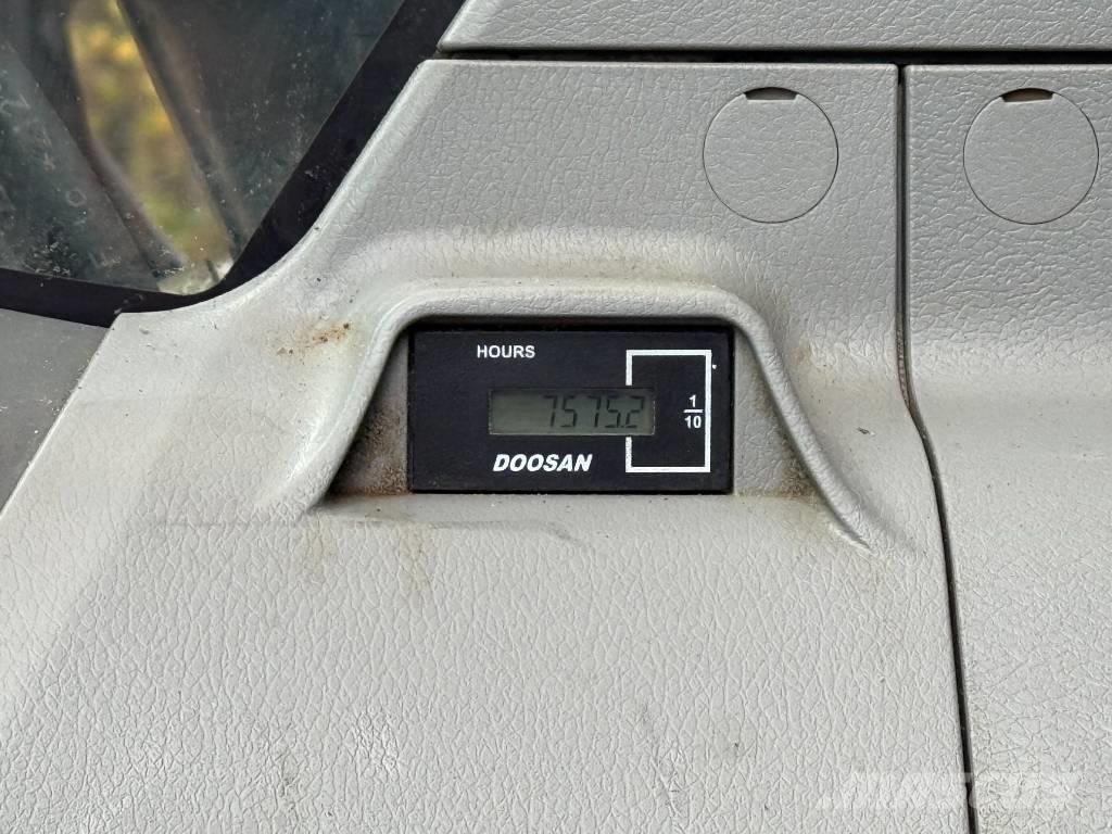 Doosan DX 300 LC Paletli ekskavatörler