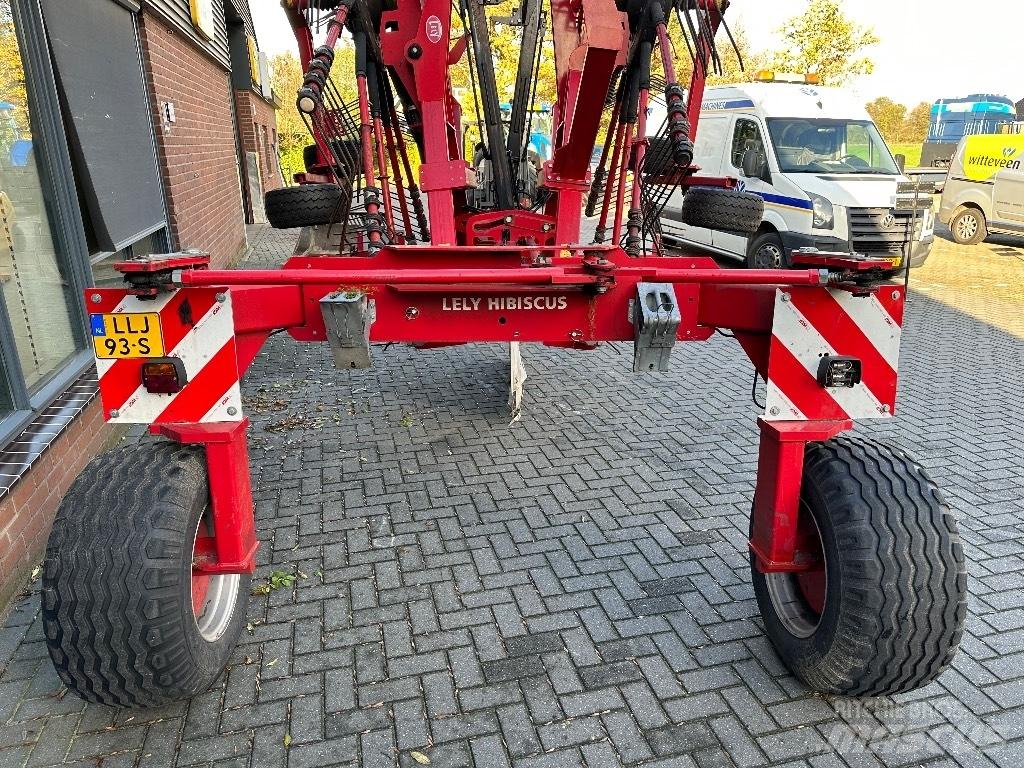 Lely Hibiscus 885 CD Ot Tirmigi