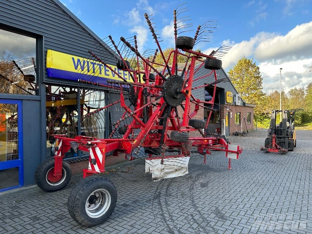 Lely Hibiscus 885 CD Ot Tirmigi