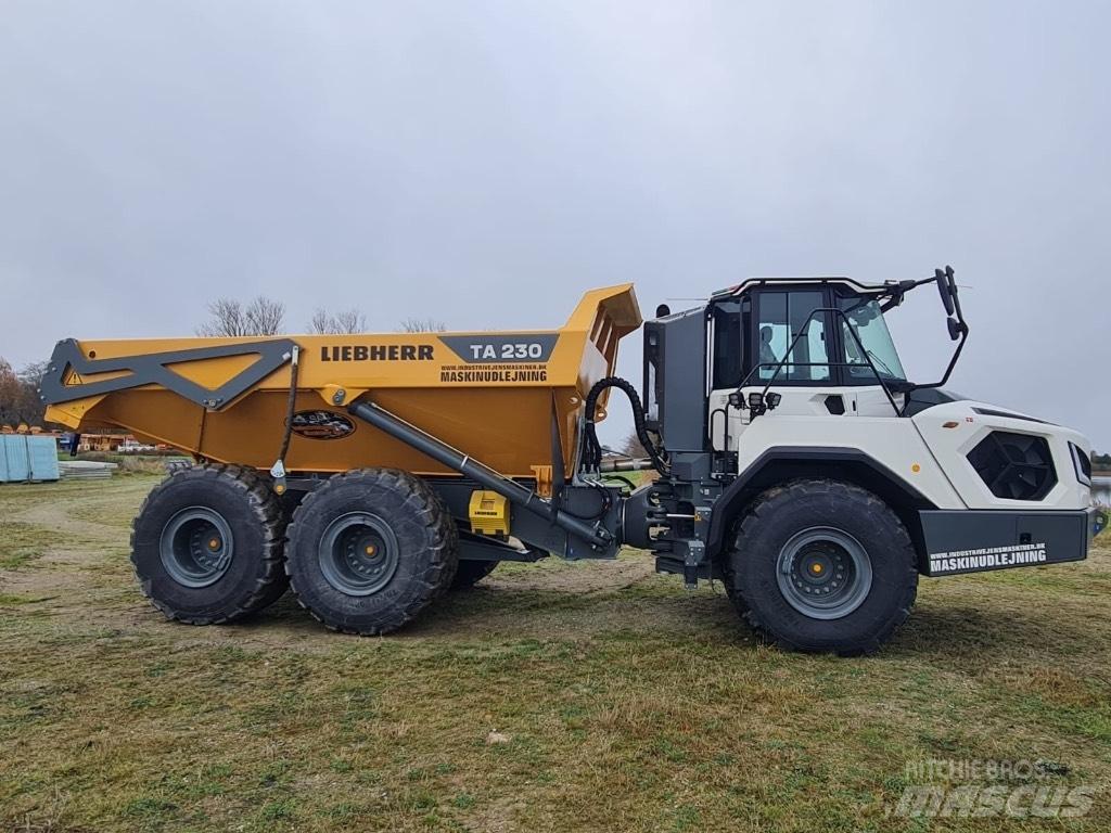 Liebherr TA 230 Belden kirma kaya kamyonu