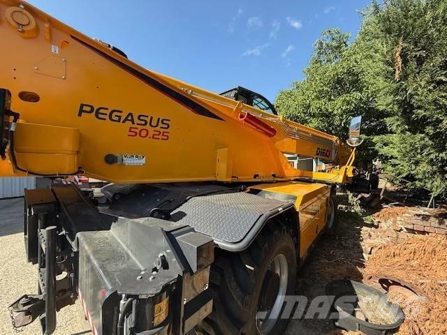 Dieci Pegasus 50.25 Teleskopik yükleyiciler