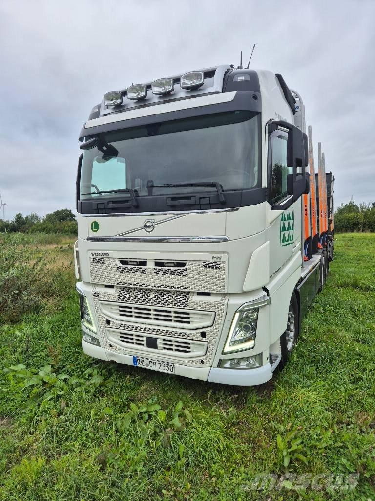 Volvo FH 460 6x4 Tomruk kamyonlari