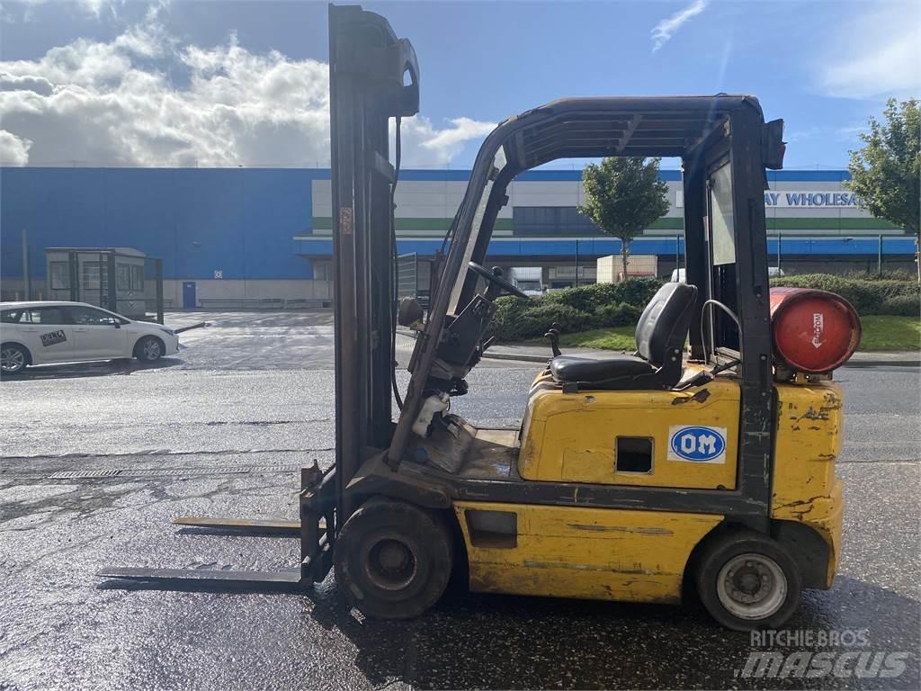 Fiat G20 LPG'li forkliftler