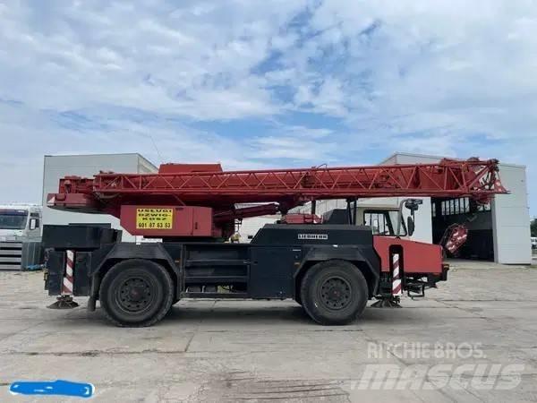 Liebherr LTM 1030 Yol-Arazi Tipi Vinçler (AT)