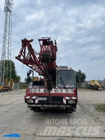 Liebherr LTM 1030 Yol-Arazi Tipi Vinçler (AT)