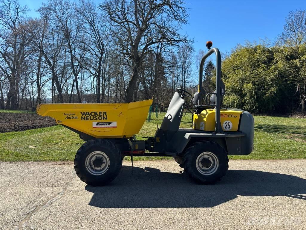 Wacker Neuson 3001 Belden kirma kamyonlar