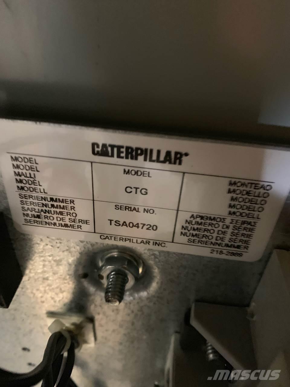 CAT CTG Diger