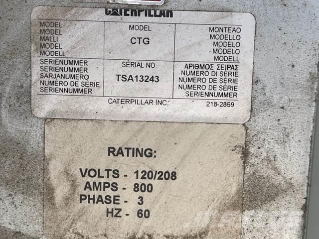 CAT CTG Diger
