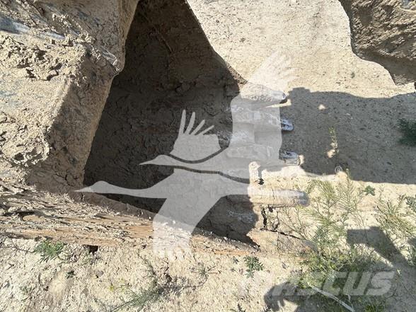 CASE CX160D Paletli ekskavatörler