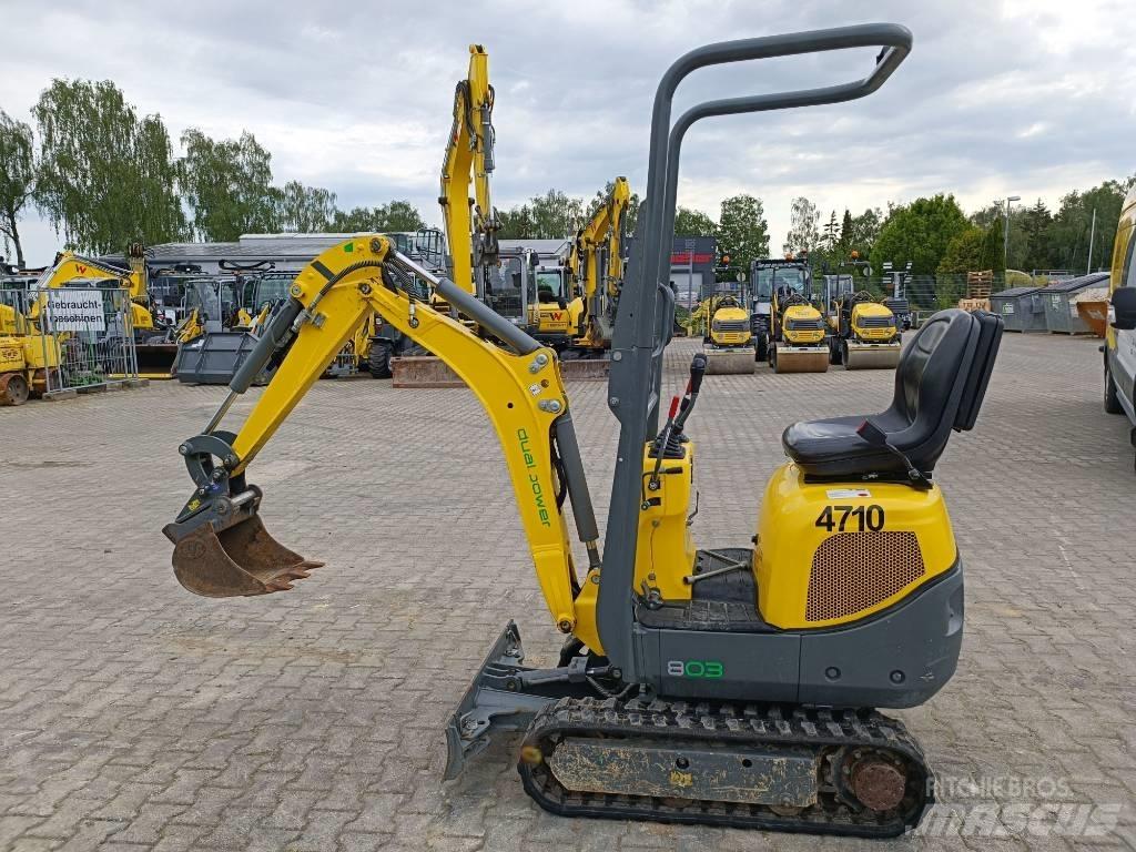 Wacker Neuson 803 Paletli ekskavatörler