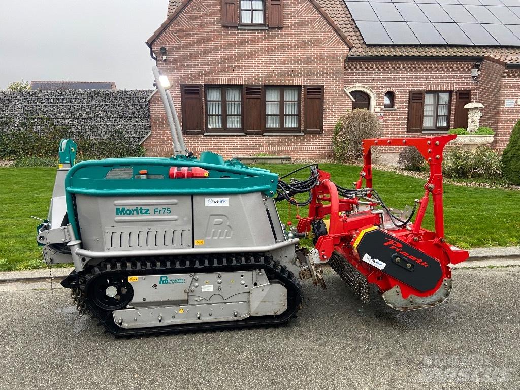 Pfanzelt Moritz Fr75 Diger