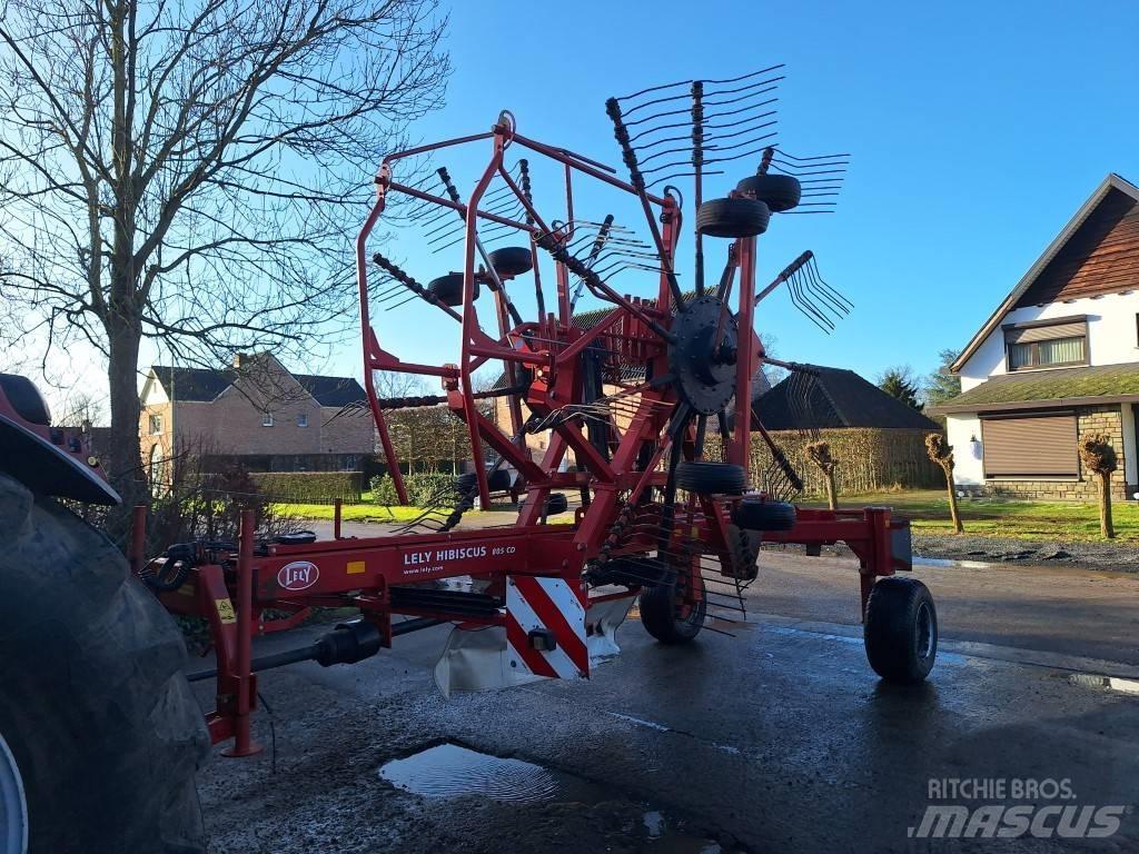 Lely Hibiscus 805 CD Ot Tirmigi