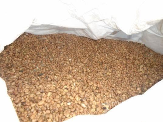  feverole Diger
