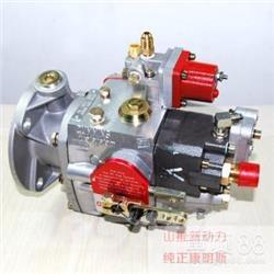 Cummins 4951451-20 Motorlar