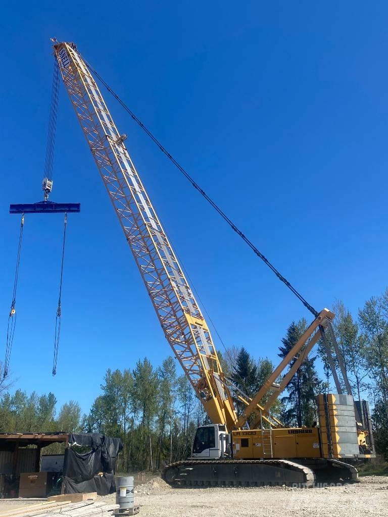 Liebherr LR 1300 SX Paletli vinçler
