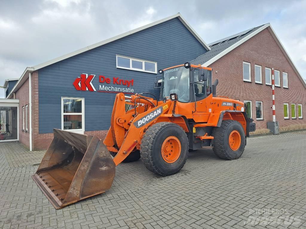 Doosan DL250 Tekerlekli yükleyiciler