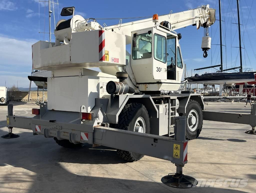 Terex A 300 Arazi Tipi Vinçler (RT)