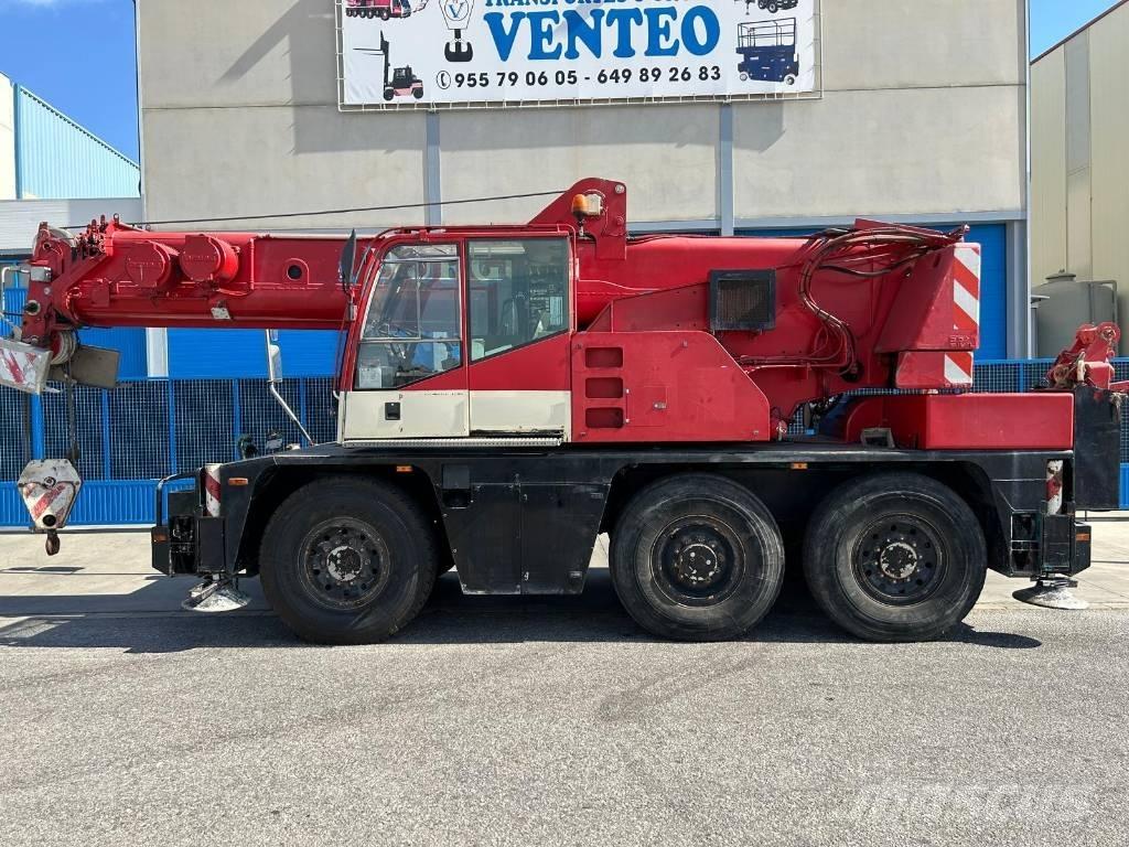 Demag AC 40-1 City Yol-Arazi Tipi Vinçler (AT)