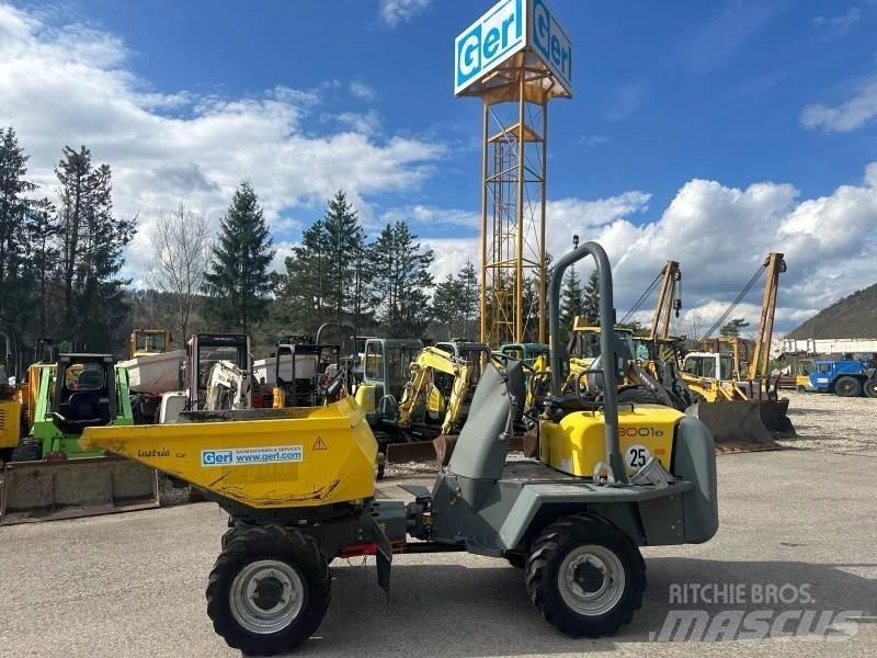 Neuson 3001 Belden kirma kamyonlar