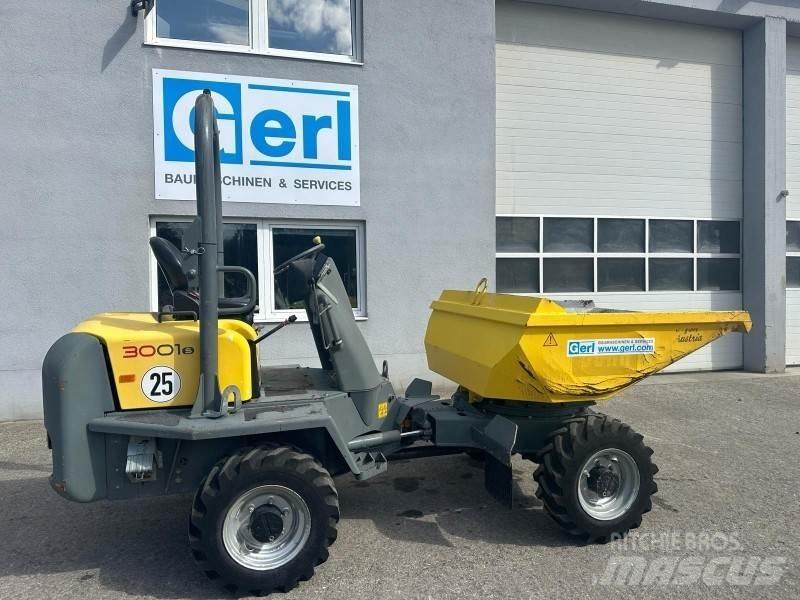 Neuson 3001 Belden kirma kamyonlar