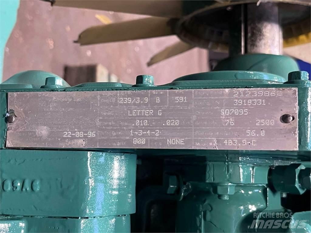 Cummins 4B3.9-C motor Motorlar