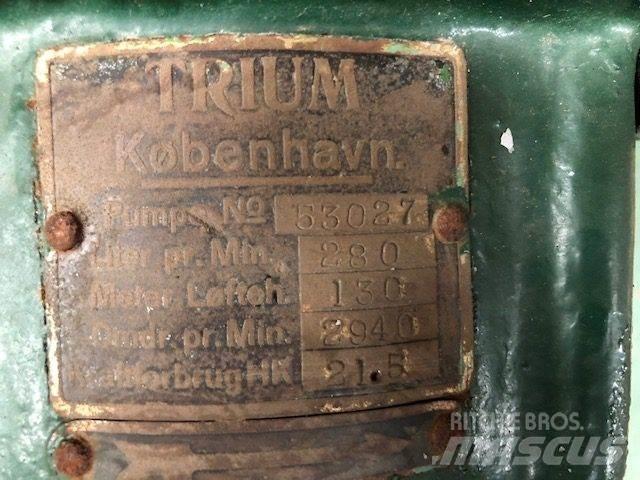  TRIUM QZKS Vandpumpe Su pompalari
