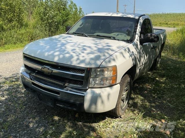 Chevrolet 1500 Pikaplar
