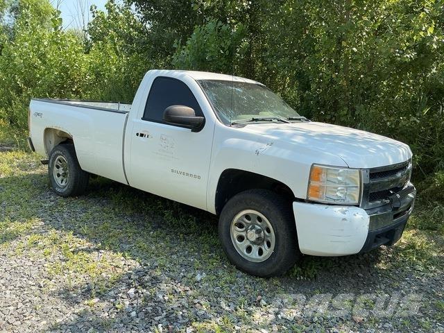 Chevrolet 1500 Pikaplar