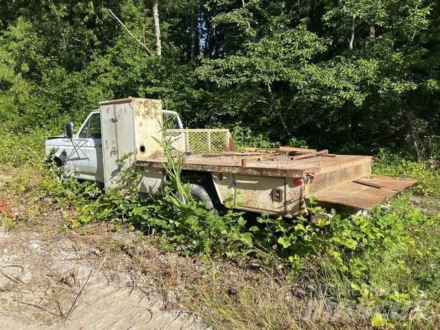 Ford F-450 Flatbed kamyonlar