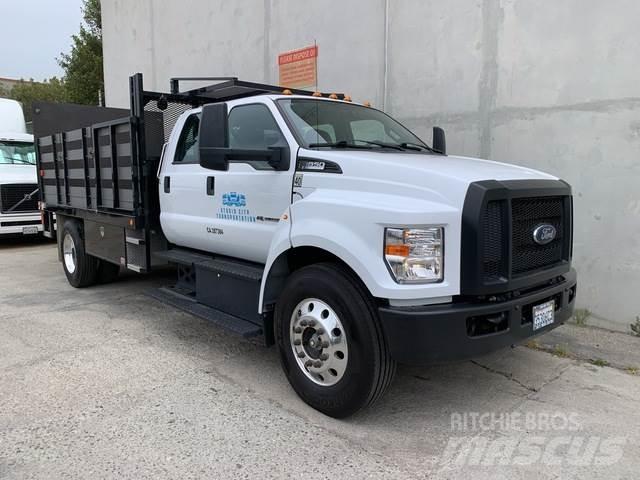 Ford F-650 Flatbed kamyonlar