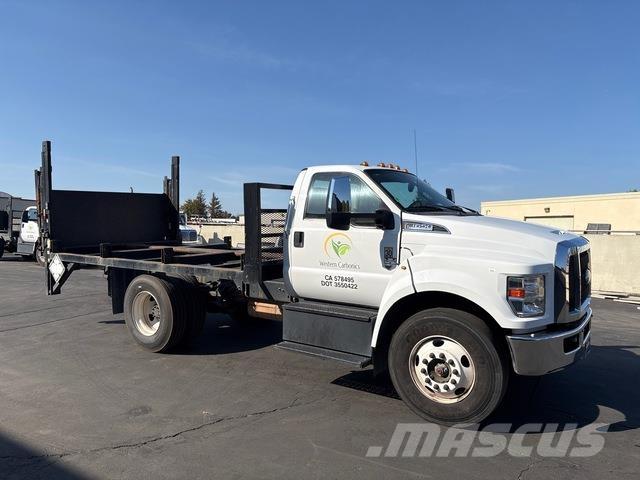 Ford F-650 Flatbed kamyonlar