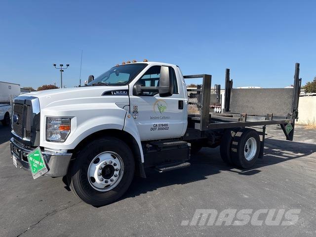 Ford F-650 Flatbed kamyonlar