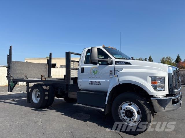 Ford F-650 Flatbed kamyonlar